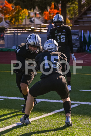 2022-11-05 Bothell at Emerald Ridge V FB- by Jim Wilkerson-2491