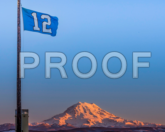 Seahawks 12s Flag 2023 Basic