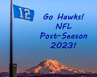 Seahawks 12s Flag 2023 Text