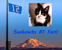 Seahawks 12s Flag 2023 Photo Master Example