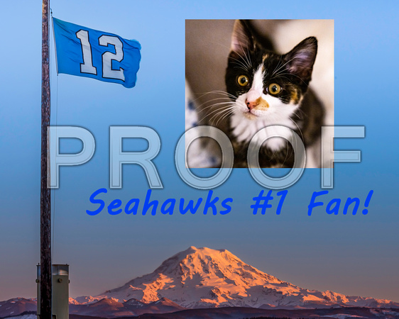 Seahawks 12s Flag 2023 Photo Master Example