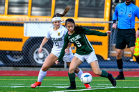 2021-11-20 Richland at Skyline Girls 4A Soccer by Jim Wilkerson-1401