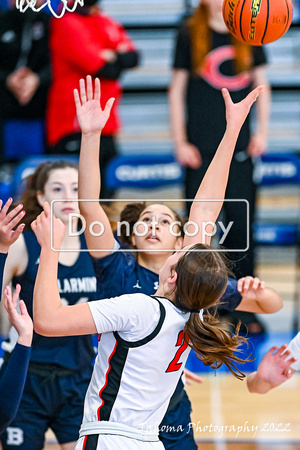 2022-02-19 Bellarmine at Camas G V BSK Districts by Jim Wilkerson-7906